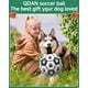 thumbnail image 3 of Balón de fútbol para perros QDAN, duradero, gigantes, para pastoreo al aire libre, 3 of 3