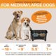 thumbnail image 5 of Comedero para perros Neater Feeder Express, a prueba de suciedad, tamaño medio/grande, 5 of 8
