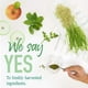 thumbnail image 3 of Suplemento Garden of Life Raw Organic Perfect Food Green, 3 of 3