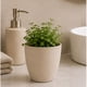 thumbnail image 5 of Macetero Redondo Beige 14 cm Plastico Interior Escritorio beige S, 5 of 7