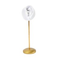 Ioensy - Resina Ear Stud Holder Hanger Ear Model Durable Para Home Salon Tabletop Left