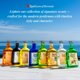 thumbnail image 2 of Loción y colonia Royall Fragrances ROYALL MUSKE para hombre 240 ml, 2 of 2