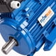 thumbnail image 3 of Motor Eléctrico 2HP 2800 Rpm 2 Polos 220v Flowmak, 3 of 3