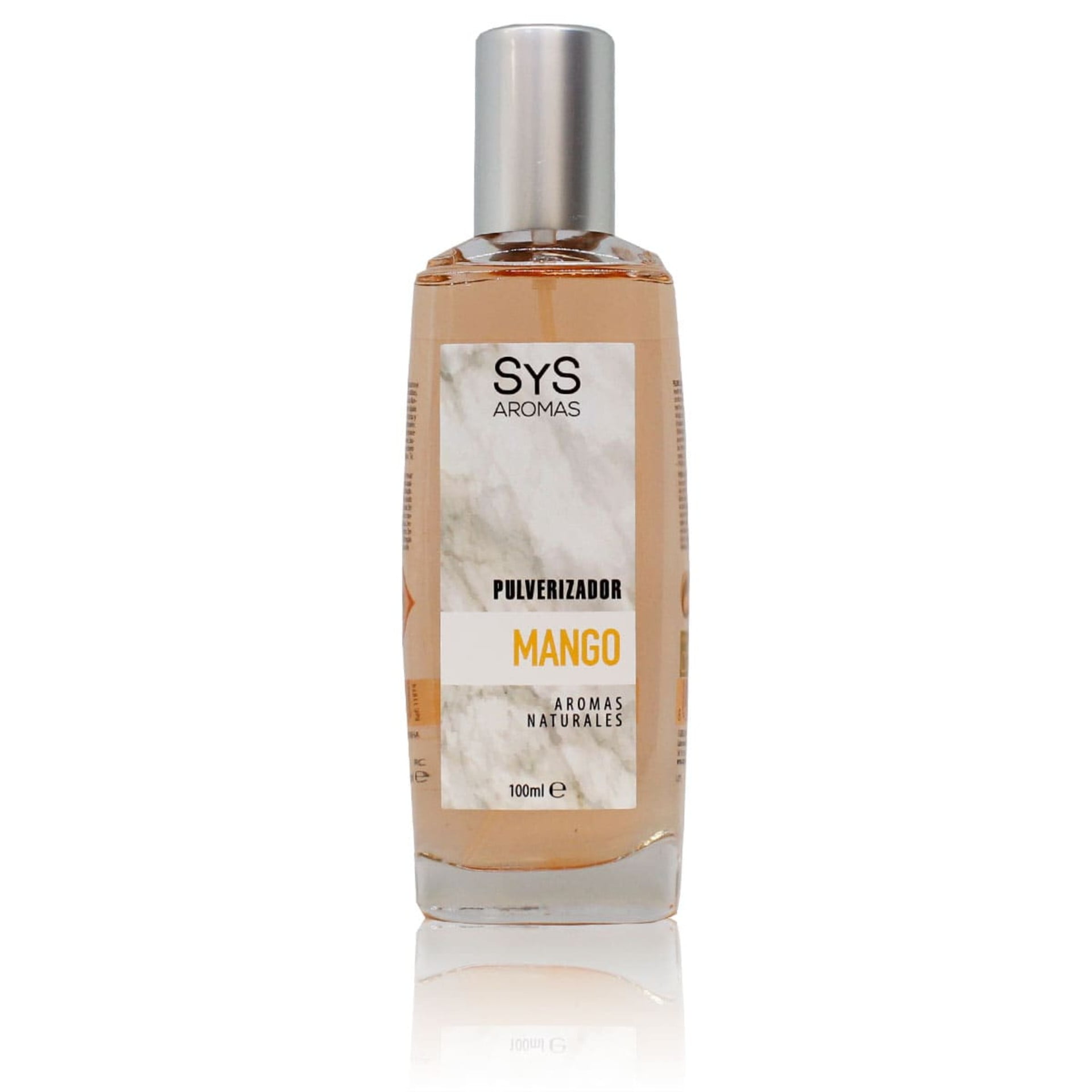 Pro-sys - Pulverizador Sys 100 Ml Para El Hogar Mango
