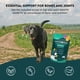 thumbnail image 5 of Suplemento Para Cadera Y Articulaciones Para Perros 60 Unidades, 5 of 8