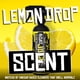 thumbnail image 3 of Limpiador de vidrios y spray antiempañante Boat Juice 473 ml Limón, 3 of 9