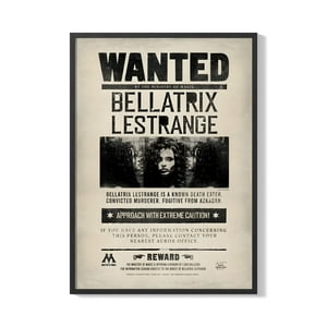 Creango - Cuadro Poster Enmarcado Harry Potter Belatrix Lentrange Decorativo