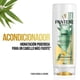 thumbnail image 3 of Shampoo Pantene y Acondicionador Bambú Nutre & Crece, 800 ml, 3 of 6
