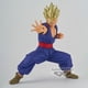 thumbnail image 1 of Figura Dragon Ball Sh Blood Of Saiyans Spxiii Gohan, 1 of 3