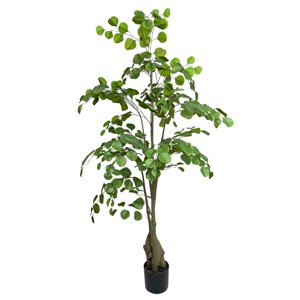 Corel - Planta Decorativa Arbol De Eucalipto 150Cm