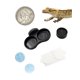 thumbnail image 1 of Comedero para mascotas Pangea MicroDish para gecos micro, 1 of 8
