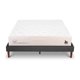 thumbnail image 1 of Cama Europea Curve Cocopedic 2 Plaza Base Normal, 1 of 14