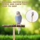 thumbnail image 4 of Juguete de percha para pájaros, juguete de madera natural para loros, soporte para percha y juguetes para masticar, palo para moler patas de periquito, accesorios para jaulas de pájaros pequeños: peri, 4 of 5