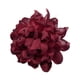 thumbnail image 5 of Broche De Flor Grande Para Mujer Elegante Alfiler De Solapa Para Traje De Banquete De Baile Color Rojo Oscuro, 5 of 5
