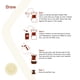 thumbnail image 5 of Círculo de filtro aglomerado Chemex, 100 unidades, para cafeteras Chemex, 5 of 6