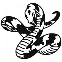 Rienda Libre Graphics - Decomural Python Snake Serpent Ws-17923