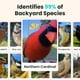 thumbnail image 2 of Comedero para pájaros Birdfy Smart con cámara solar con IA para más de 6000 especies, 2 of 8