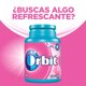 thumbnail image 4 of Chicle sin Azúcar Sabor Fruta y Menta 46 un, 1 Un, 4 of 6