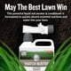 thumbnail image 3 of Aireador líquido para césped y descompactador de paja Turf Titan Thatch Buster 960 ml, 3 of 9
