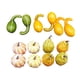 thumbnail image 3 of Calabazas Artificiales De Cosecha, Modelo Vegetal De Halloween, Colores Surtidos Duraderos, Estilo E, 3 of 5