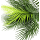 thumbnail image 2 of Rama palma tropical hojas decoración, 2 of 3
