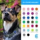 thumbnail image 5 of Collar para perro Blueberry Pet Essentials X-Small de nailon azul real, 5 of 8
