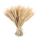 thumbnail image 2 of 100 Piezas De Flor De Oreja De Trigo Real Flores Secas Decoración De Fiesta De Boda Natural, 2 of 3