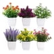 thumbnail image 1 of 6pzs Plantas Flores Artificiales Macetas Decorativas Bonsai, 1 of 10