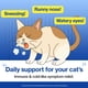 thumbnail image 3 of Suplemento Para Gatos Felysin L Lisina Para El Sistema Inmunológico, 3 of 9