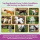 thumbnail image 5 of Spray para tratamiento de la piel de perros Epi-Pet 3,8 L lavanda, 5 of 8