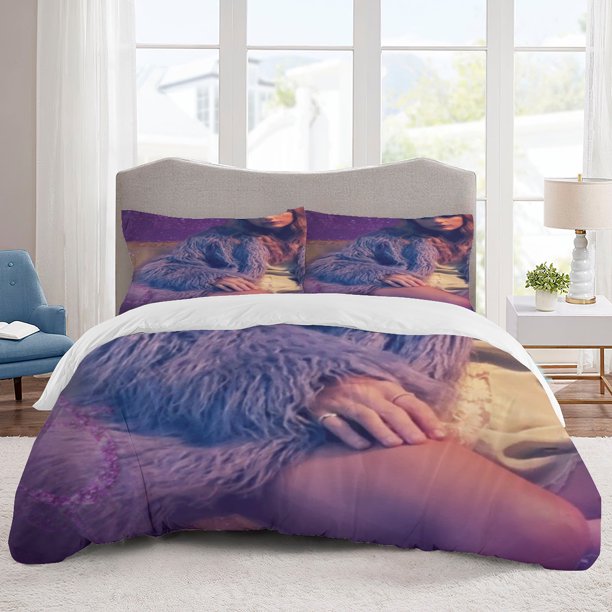 Tayx lor Swift Bedding Sets Cartoon Duvet Cover Lightweight 3 Piece Bet Sets for Kids Boys Girls