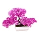 thumbnail image 1 of Árbol De Bonsái Artificial, Plantas Falsas Decorativas En Maceta Para El Hogar, Granja, Escritorio, Color Rosa, 1 of 3