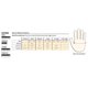 thumbnail image 2 of Mittens Carhartt W.P., impermeables, aislantes, para hombre, color marrón y negro, 2 of 3