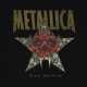 thumbnail image 3 of Polera Metalica, 3 of 3