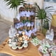 thumbnail image 5 of Decoraciones para Cupcakes Safari Goviwbioy 48 piezas Animales de la Selva, 5 of 6