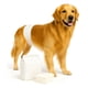 thumbnail image 1 of Combo Toallas Humedas 50und + Pañales Perro Macho M 12und Blanco Principal Combo Higiene Mascota Pañ, 1 of 13