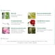 thumbnail image 2 of Polvo THESAEM Saemmul Perfect Pore Oil Control 5 g x 2, 2 of 3