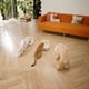 thumbnail image 4 of Comedero Inteligente RFID Sensor con refrigerante Antirobo Gatos, 4 of 8
