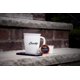 thumbnail image 4 of Cápsulas de café Brooklyn Beans Fuhgeddaboutit 40 compatibles con Keurig 2.0, 4 of 7