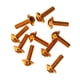 thumbnail image 3 of 10x Placa De Tornillos De Pernos De Aluminio Marco De La Cubierta Decorativa De Oro 20mmx6mm, 3 of 3