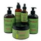 thumbnail image 1 of Set De Productos Para El Cabello Mielle Rosemary Mint Con Biotina 5 Unidades, 1 of 3