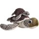 thumbnail image 1 of Animal de peluche Wild Republic, mamá y bebé, tortuga marina, 30 cm, 1 of 1