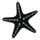 thumbnail image 1 of Decomural Starfish Nautical WS-15405, 1 of 2