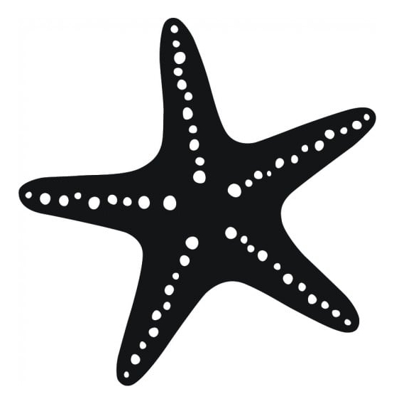 Rienda Libre Graphics - Decomural Starfish Nautical Ws-15405