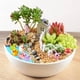 thumbnail image 4 of 100 piezas Mini Resina Ducks fo Manualidades, Multicoloed Miniature Ducks, 8 Colos Tiny Ducks Miniature Figures fo Aquarium Garden Landsgorae Onahombrest Potted Decoations Flower DIY Family School, 4 of 7