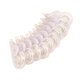 thumbnail image 5 of 10 Cintas Correctoras Con Dispensador, Para Diario De Colegas, Limpieza Rápida, Fácil De Usar, Transparente, 5 of 5