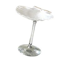 Bothyi - Copas De Vino Con Forma De Concha, Vaso Para Jugo De 2 X 7 Pulgadas Para Inauguración De La Casa, Elegante