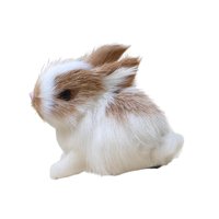Bothyi - Conejo Peludo Realista En Miniatura Para Regalo Coleccionable, Accesorios De Fotografía Para Niños