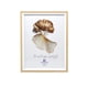 thumbnail image 1 of Marco para Fotos GH890 (10x15 cm 4x6pulg), 1 of 2