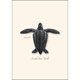 thumbnail image 3 of Juego de tarjetas de notas Earth Sky + Water, 8 tarjetas surtidas, 3 of 6